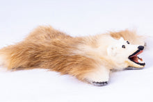 Load image into Gallery viewer, Dollhouse Miniature ~ Bear Rug  with Front Claws From Lee Lefkowitz Collection
