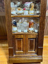 Load image into Gallery viewer, Dollhouse Miniature ~ Specimens Display Case from The Small Sea Museum In California
