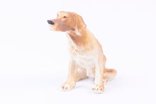 Load image into Gallery viewer, Dollhouse Miniature ~ Yellow Lab or Hound Dog,  Vintage Concord Resin New Older Stock
