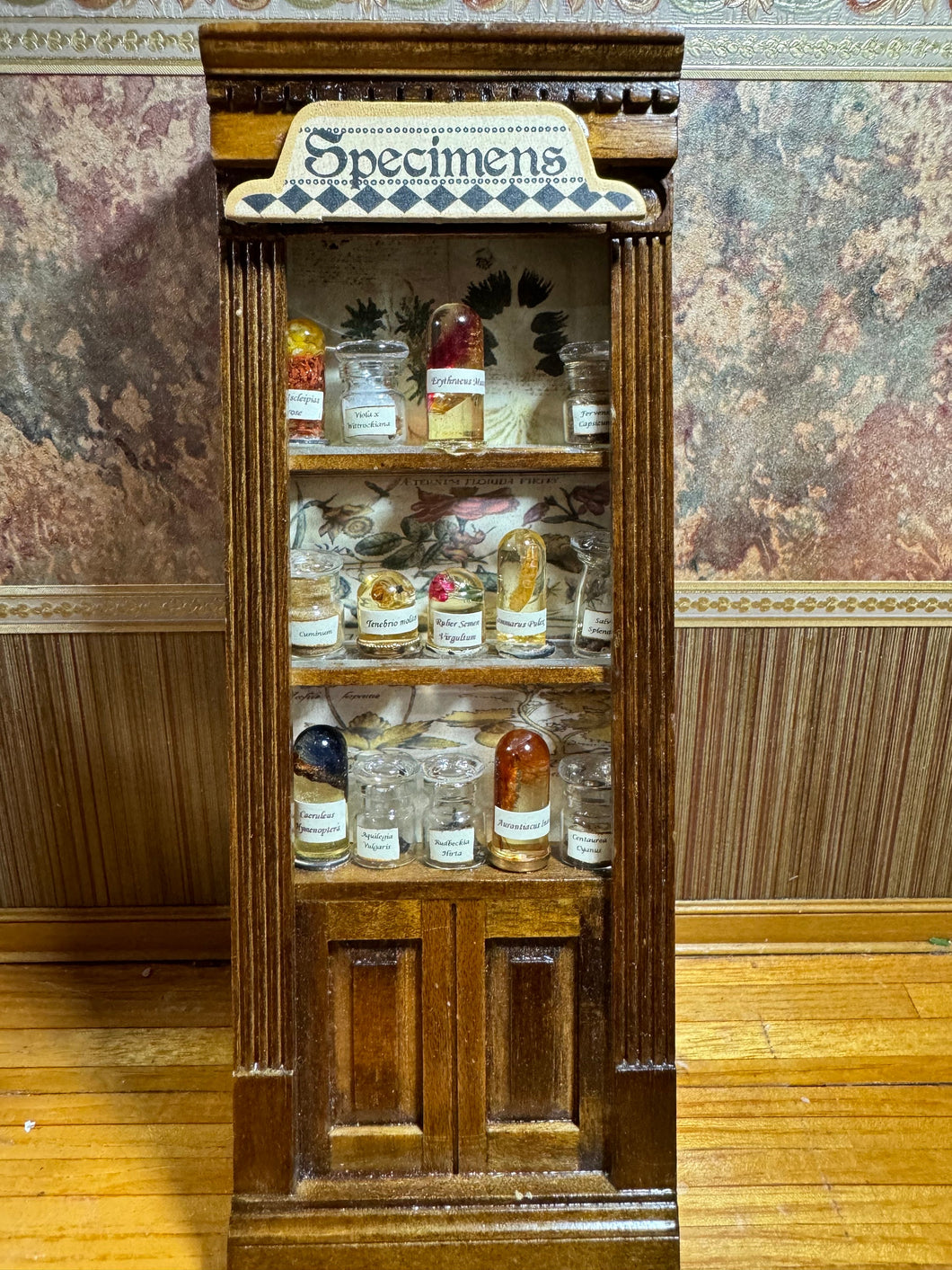 Dollhouse Miniature ~ Specimens Display Case from The Small Sea Museum In California