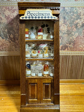 Load image into Gallery viewer, Dollhouse Miniature ~ Specimens Display Case from The Small Sea Museum In California
