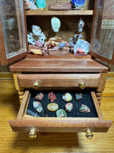Load image into Gallery viewer, Dollhouse Miniature ~ Shells,Minerals,Gems Decorated Display Case from The Small Sea Museum In California
