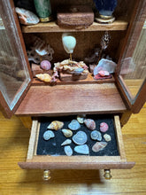 Load image into Gallery viewer, Dollhouse Miniature ~ Shells,Minerals,Gems Decorated Display Case from The Small Sea Museum In California
