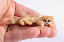 Load image into Gallery viewer, Dollhouse Miniature ~ UK Annie Willis Cat - Lefkowitz Estate
