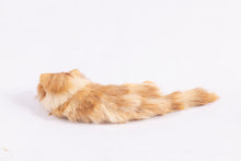 Load image into Gallery viewer, Dollhouse Miniature ~ UK Annie Willis Cat - Lefkowitz Estate
