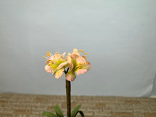 Load image into Gallery viewer, Dollhouse Miniature ~ Artisan Flowers In Vince Stapleton Handmade Wedgewood Pot
