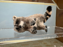 Load image into Gallery viewer, Dollhouse Miniature ~  Artisan Handmade OOAK Racoon
