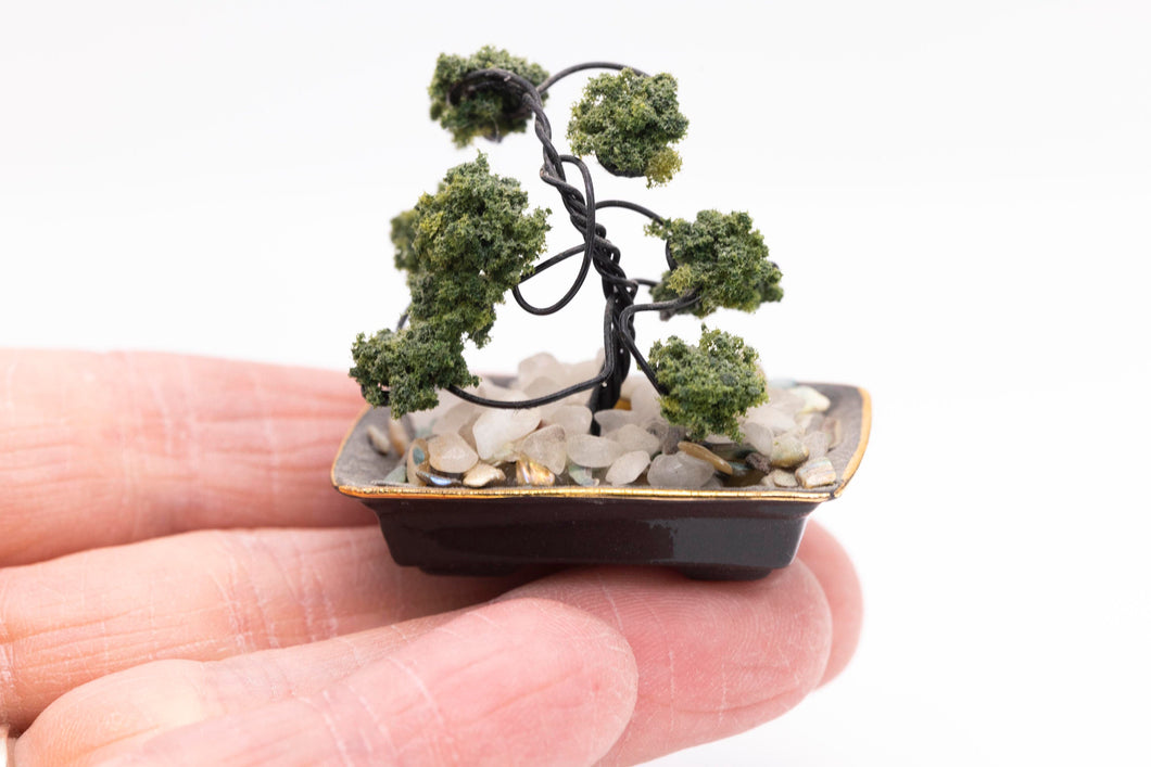 Dollhouse Miniature ~ Bonsai Tree in Dish, Handmade