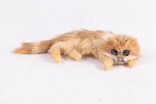 Load image into Gallery viewer, Dollhouse Miniature ~ UK Annie Willis Cat - Lefkowitz Estate
