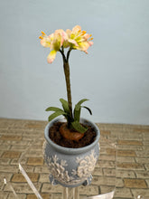 Load image into Gallery viewer, Dollhouse Miniature ~ Artisan Flowers In Vince Stapleton Handmade Wedgewood Pot
