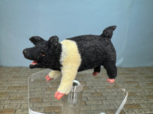 Load image into Gallery viewer, Dollhouse Miniature ~  Artisan Handmade OOAK Pig
