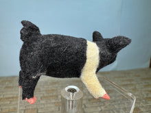 Load image into Gallery viewer, Dollhouse Miniature ~  Artisan Handmade OOAK Pig
