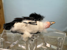 Load image into Gallery viewer, Dollhouse Miniatures ~  Artisan Handmade OOAK Vulture Bird
