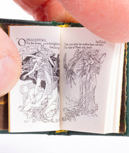 Load image into Gallery viewer, Barbara Raheb - Flowers From Shakespeare&#39;s Garden Book
