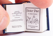 Load image into Gallery viewer, Barbara Raheb Book - Peter Pan
