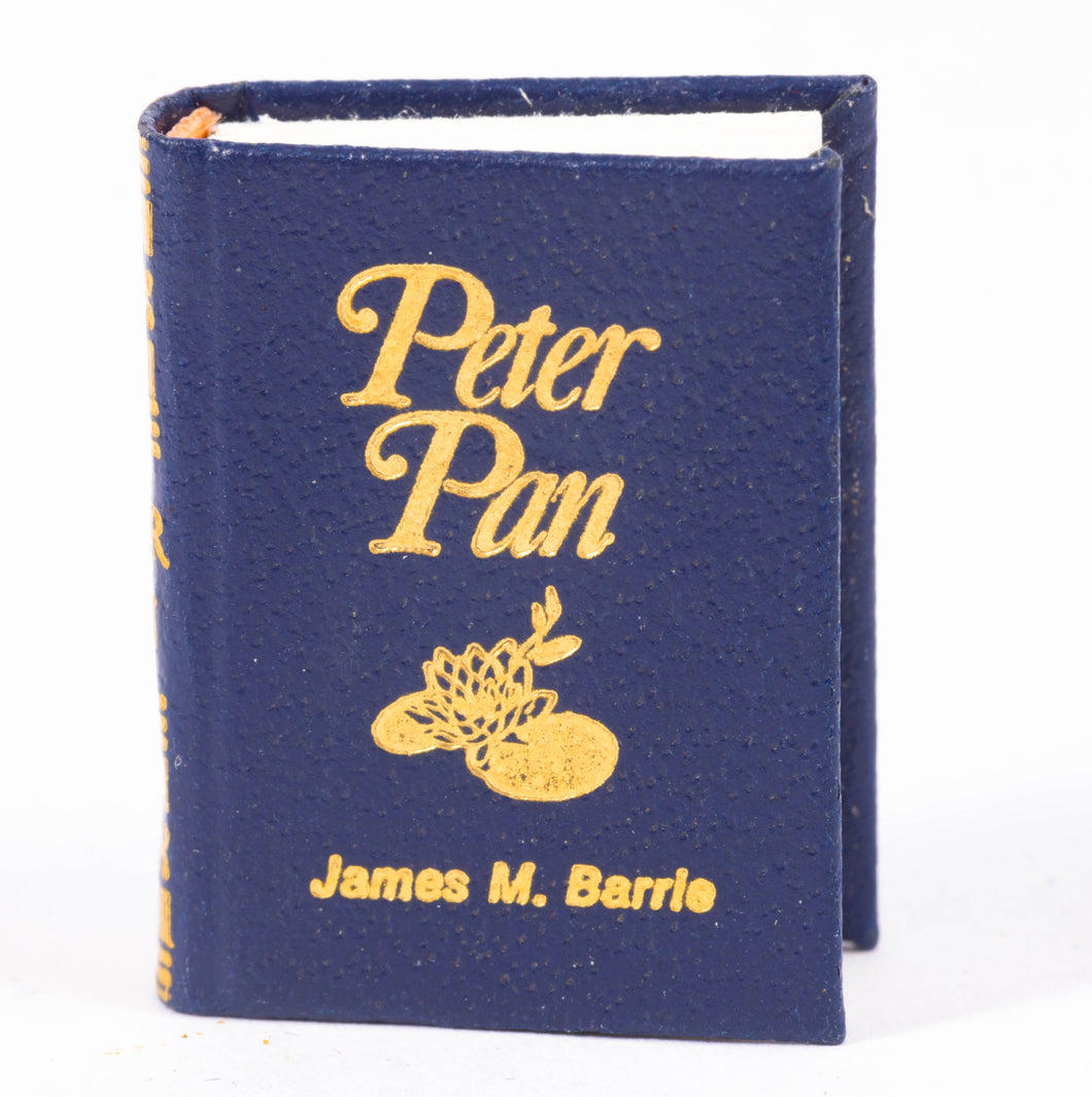 Barbara Raheb Book - Peter Pan