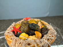 Load image into Gallery viewer, Dollhouse Miniature ~ Artisan Handmade Decorated Beach Shells Basket
