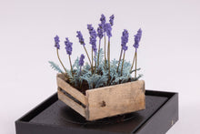 Load image into Gallery viewer, Dollhouse Miniature ~ Lavender Flowers in a Crate by Paula Gilhooley
