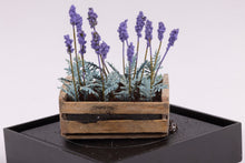 Load image into Gallery viewer, Dollhouse Miniature ~ Lavender Flowers in a Crate by Paula Gilhooley
