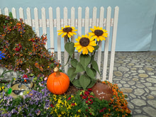 Load image into Gallery viewer, Dollhouse Miniature ~ Artisan Judy Travis Handmade Decorated Halloween / Fall Flowers &amp; Pumpkin Fence
