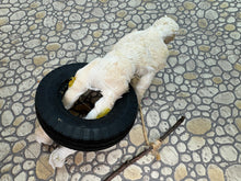 Load image into Gallery viewer, Dollhouse Miniature ~ Artisan  Handmade Halloween Decoration Mummy On Tire Swing
