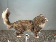 Load image into Gallery viewer, Dollhouse Miniature ~  Artisan Handmade OOAK Grey Cat With White Tail
