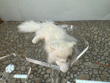 Load image into Gallery viewer, Dollhouse Miniature ~  Artisan Handmade OOAK White Cat Laying Down
