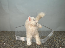 Load image into Gallery viewer, Dollhouse Miniature ~  Artisan Handmade OOAK White Cat Fluffy Tail
