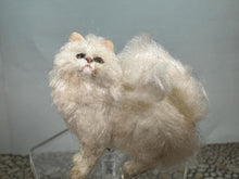 Load image into Gallery viewer, Dollhouse Miniature ~  Artisan Handmade OOAK White Cat
