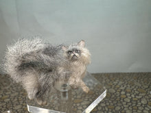 Load image into Gallery viewer, Dollhouse Miniature ~  Artisan Handmade OOAK Grey &amp; White Cat Fluffy Tail
