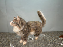 Load image into Gallery viewer, Dollhouse Miniature ~  Artisan Handmade OOAK Grey Cat With White Tail
