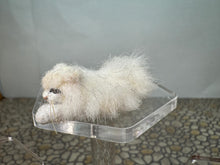 Load image into Gallery viewer, Dollhouse Miniature ~  Artisan Handmade OOAK White Cat Laying Down
