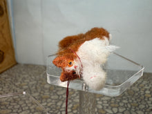 Load image into Gallery viewer, Dollhouse Miniature ~  Artisan Handmade OOAK Fluffy Orange Cat Standing Up
