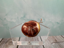 Load image into Gallery viewer, Dollhouse Miniature ~ Artisan Handmade Pork Leg On String Butcher Shop
