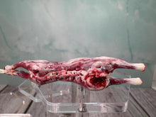 Load image into Gallery viewer, Dollhouse Miniature ~ Artisan Handmade Skinned Rabbit On String Butcher Shop
