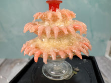 Load image into Gallery viewer, Dollhouse Miniature ~ Artisan Handmade Shrimp Cocktail 3 Tier Platter (Chipped)
