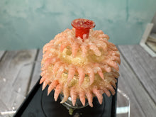Load image into Gallery viewer, Dollhouse Miniature ~ Artisan Handmade Shrimp Cocktail 3 Tier Platter (Chipped)
