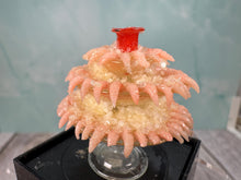Load image into Gallery viewer, Dollhouse Miniature ~ Artisan Handmade Shrimp Cocktail 3 Tier Platter (Chipped)
