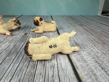 Load image into Gallery viewer, Dollhouse Miniature ~  Artisan KB OOAK Lot of 3 Handmade Signed Pug Dogs
