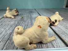 Load image into Gallery viewer, Dollhouse Miniature ~  Artisan KB OOAK Lot of 3 Handmade Signed Pug Dogs
