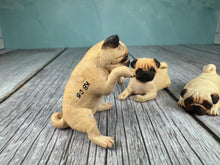 Load image into Gallery viewer, Dollhouse Miniature ~  Artisan KB OOAK Lot of 3 Handmade Signed Pug Dogs
