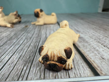 Load image into Gallery viewer, Dollhouse Miniature ~  Artisan KB OOAK Lot of 3 Handmade Signed Pug Dogs
