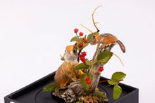 Load image into Gallery viewer, Mary McGrath Bunny &amp; Chipmunk with Raspberries
