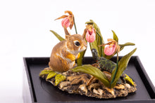 Load image into Gallery viewer, Mary McGrath Bunny with Broken Ear - ON SALE
