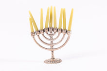 Load image into Gallery viewer, Sterling Silver Menorah with Candles by Don Henry, A Bird Foot Miniature
