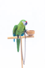 Load image into Gallery viewer, Beautiful Porcelain Parrot on Stand Over Needlepoint Rug
