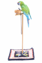 Load image into Gallery viewer, Beautiful Porcelain Parrot on Stand Over Needlepoint Rug
