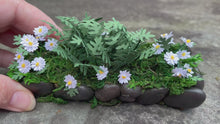 Load and play video in Gallery viewer, Handmade Rock Garden with Daisies and Ferns
