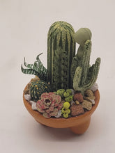 Load image into Gallery viewer, Dollhouse Miniature ~ 1:12 Scale, IGMA Artist Era Pearce Cactus &amp; Succulents in Pot
