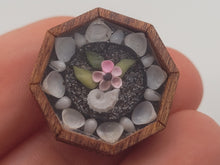 Load image into Gallery viewer, ¾&quot; Sailor&#39;s Valentine - Snail Shell &amp; Flower surrounded by Tellin Shells – by Pam Friend
